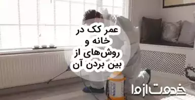 10 روش برای از بین بردن کک در منزل